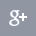 Google Plus